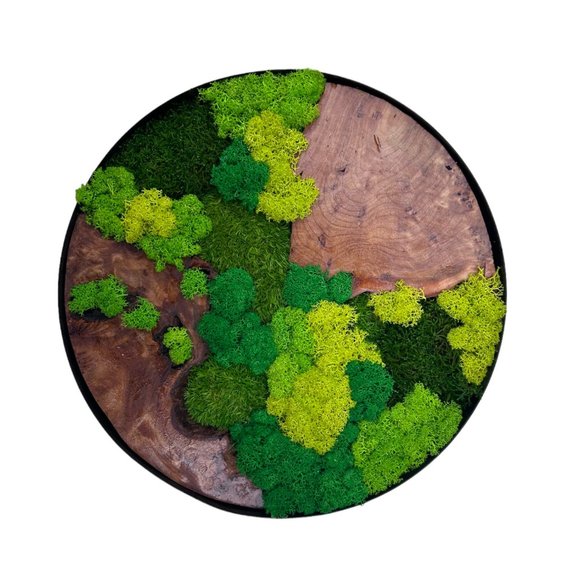 Evergreen Oasis Cedar Wood and Preserved Moss Wall Art - Handcrafted 12x12x1 Inc - Picture 9 of 10